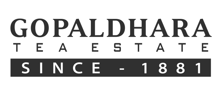 Client logo 11