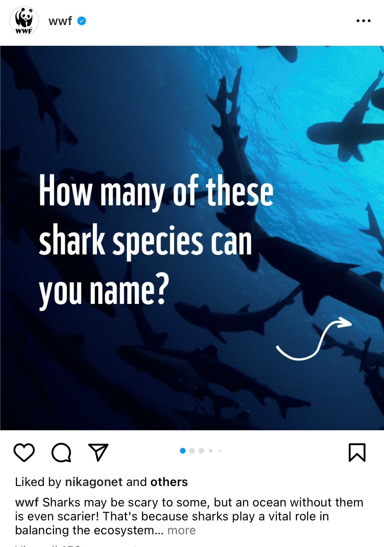 wwf instagram